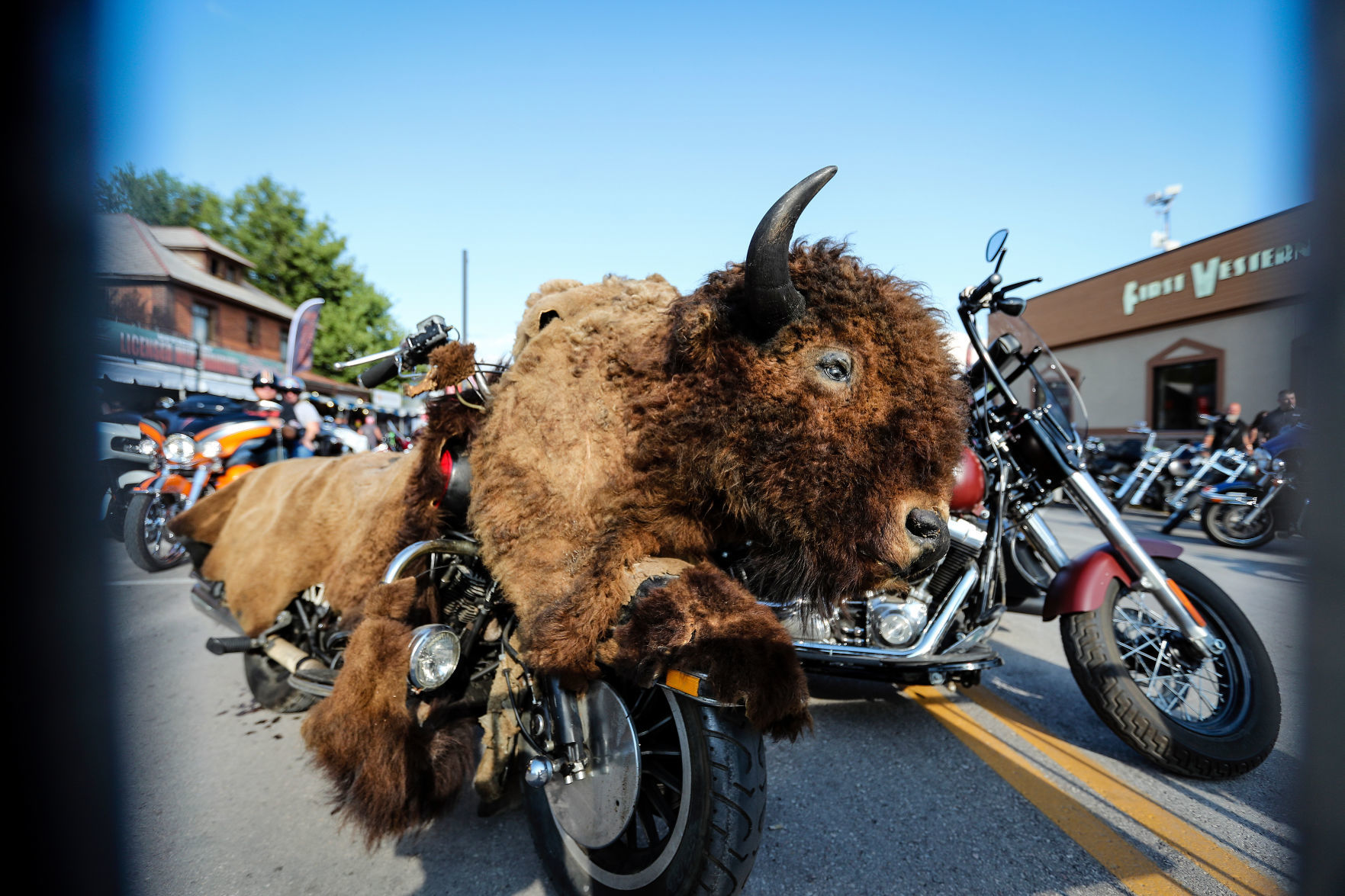 Sturgis Day Eight